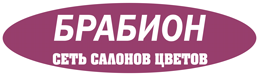 Брабион Калуга logo