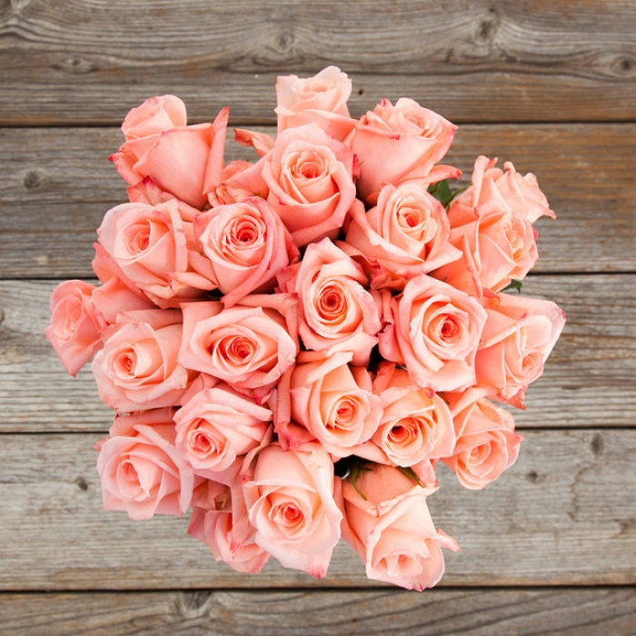 Роза Engagement Native Blooms (60см) Брабион Калуга